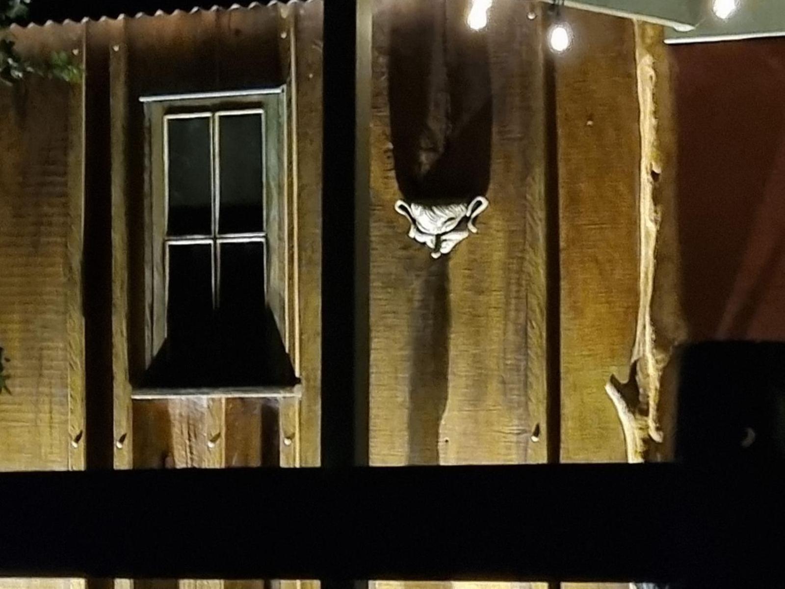 Country Cottage Sunshine Coast モントビル エクステリア 写真